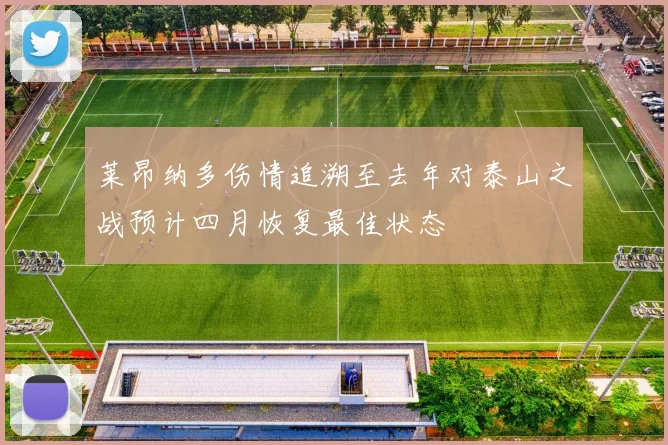 莱昂纳多伤情追溯至去年对泰山之战预计四月恢复最佳状态