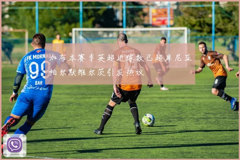 加布本赛季英超进球数已超库尼亚帕尔默维尔茨引发热议