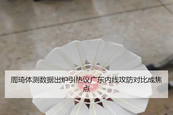 周琦体测数据出炉引热议广东内线攻防对比成焦点(ManBetX)